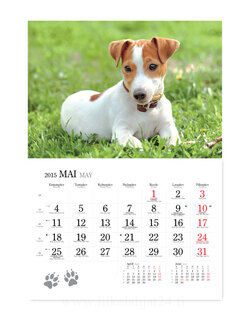 Dog calendar 3. picture