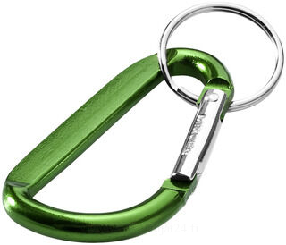 Carabiner key chain 4. picture