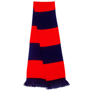 Team Scarf 6. picture