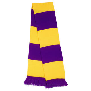 Team Scarf 7. picture